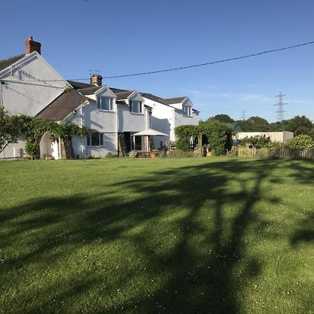 Pontlliw Brynawel Farm B&B المظهر الخارجي الصورة