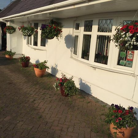 Pontlliw Brynawel Farm B&B المظهر الخارجي الصورة