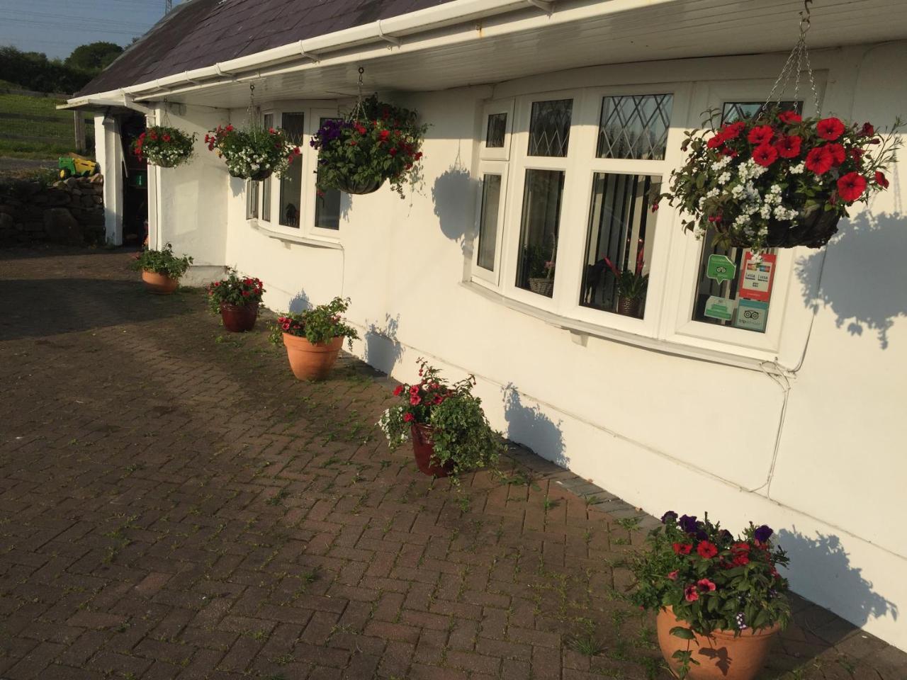 Pontlliw Brynawel Farm B&B المظهر الخارجي الصورة